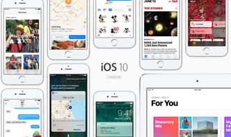 軟件系統(tǒng)資訊與專業(yè)軟件咨詢服務 驅動企業(yè)數字化轉型的雙引擎